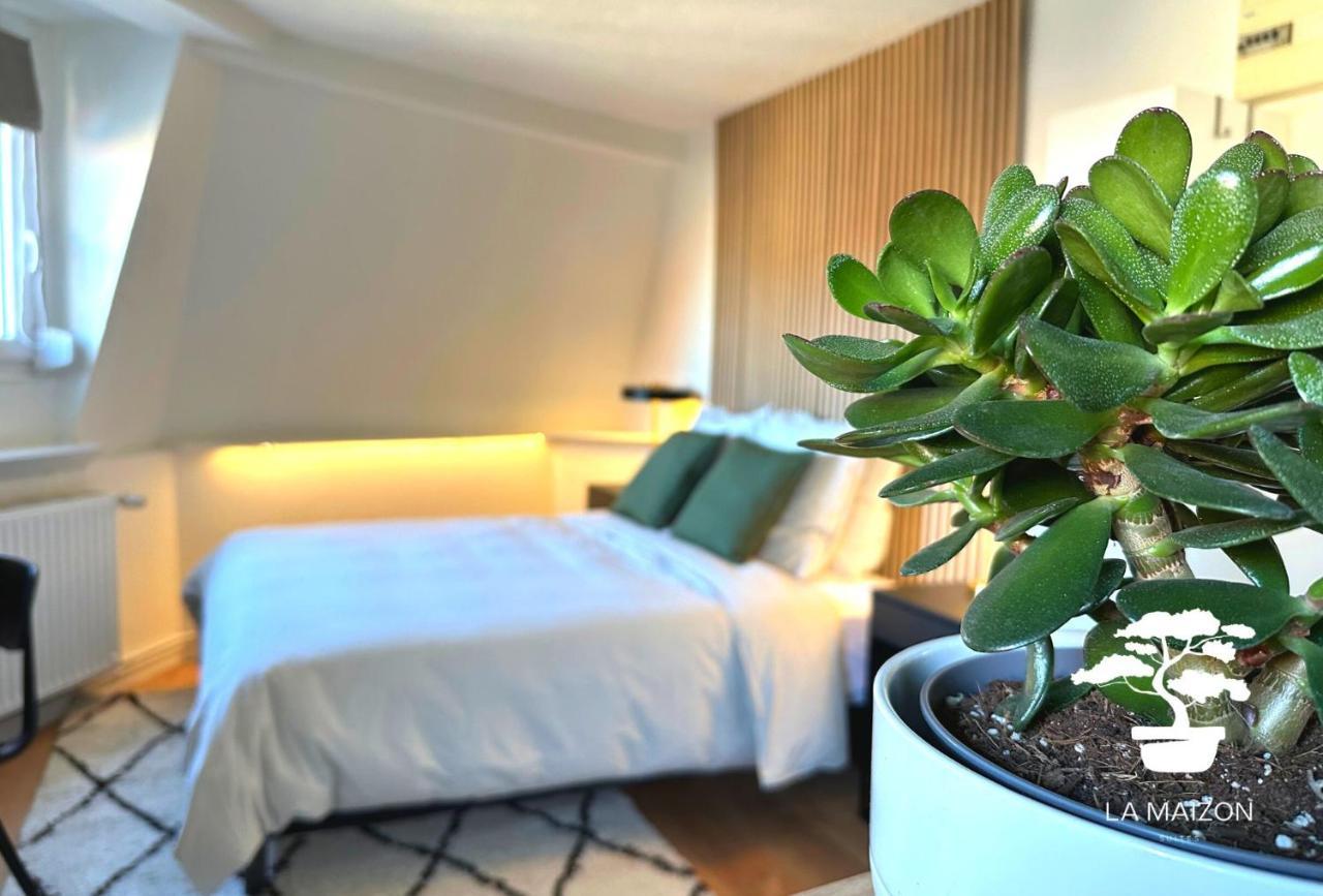 לה מדלן Suite Dernier Etage Saint-Maur מראה חיצוני תמונה